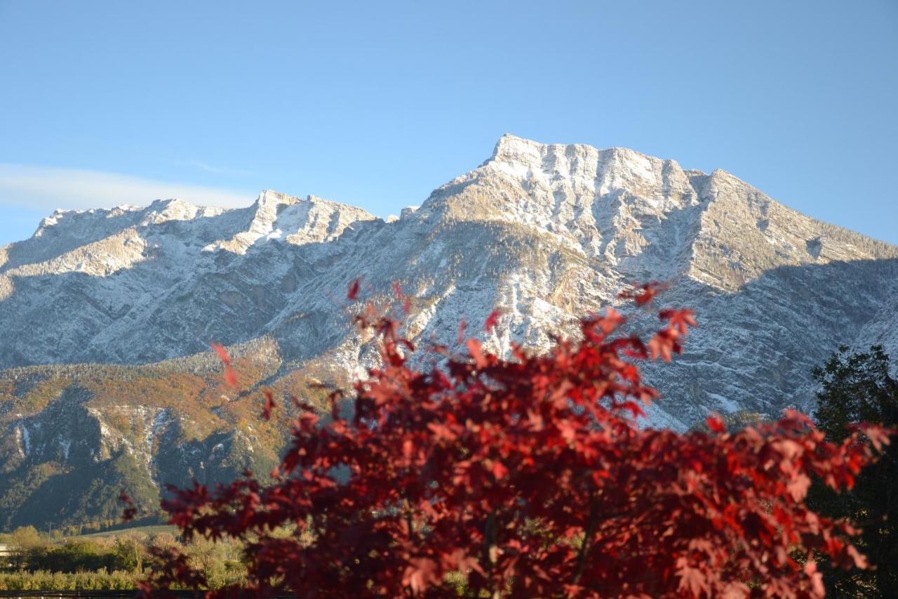 Al Brenta Hotel Levico Terme Buitenkant foto